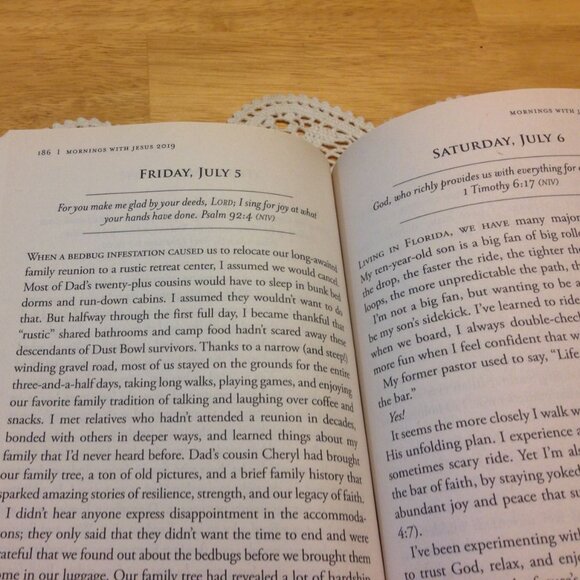 3 for $10 book sale! Bible Devotionals, Mornings with Jesus 2019 - Picture 4 of 7